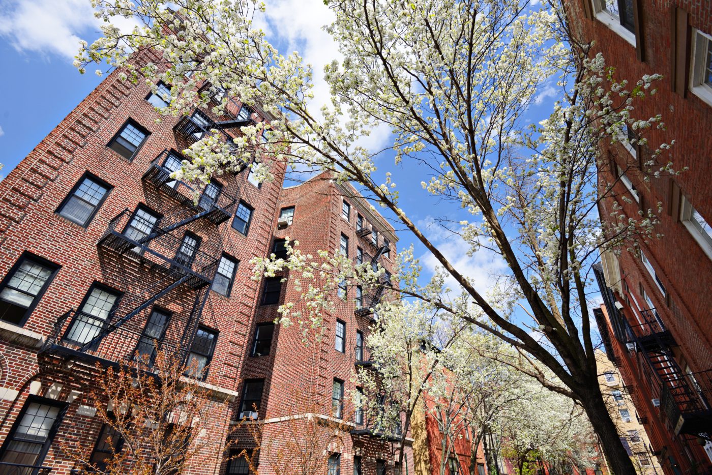 Property Managers In NYC
